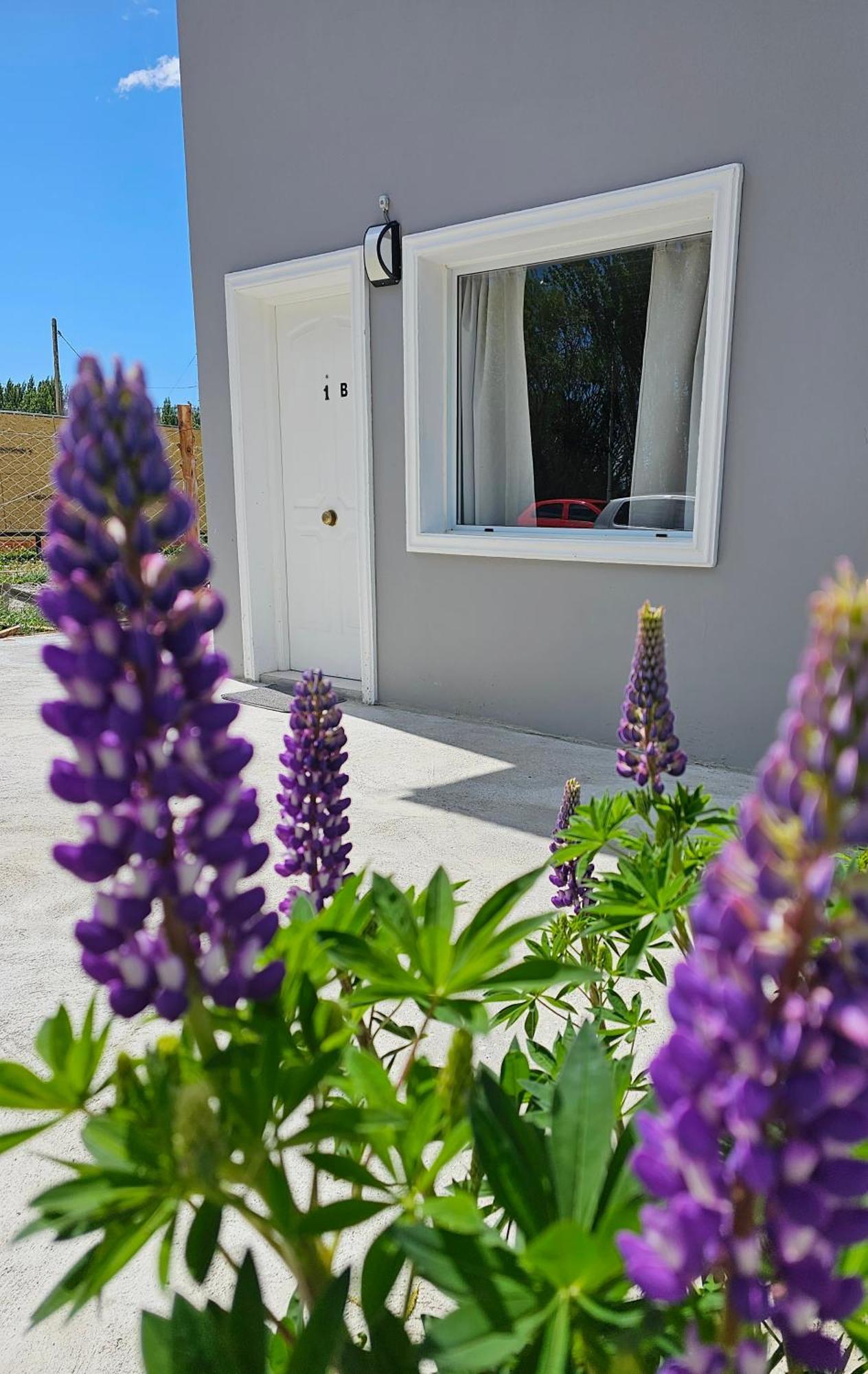 Alameda Apart El Calafate Eksteriør billede